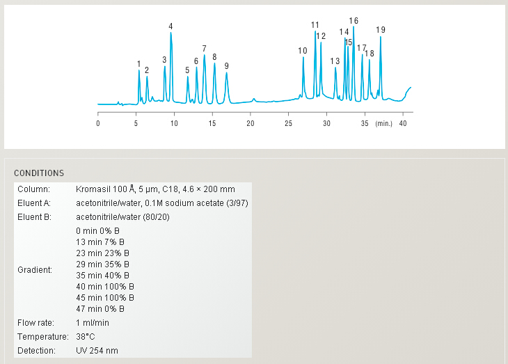 5d564ec42274b.png 2.png